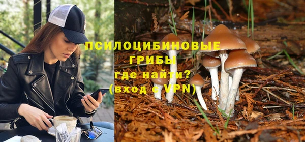 скорость Кукмор