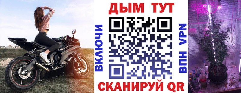 Конопля семена  МЕГА ТОР  это как зайти  Малгобек 